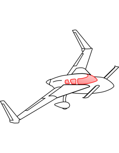 AeroCanard FG Canopy